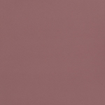 8R - Rose